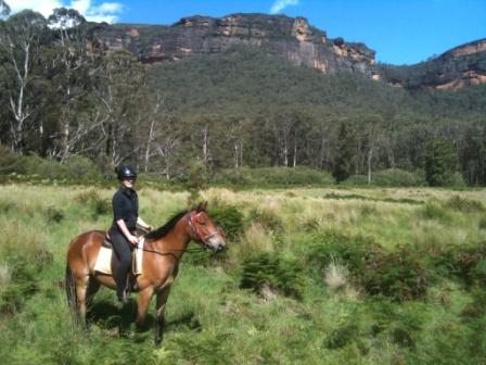 Image of 2 Hour Horse Ride - 1:00pm.